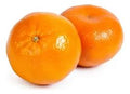 MANDARINA MONICA KG
