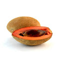 MAMEY