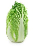 LECHUGA JAPONESA