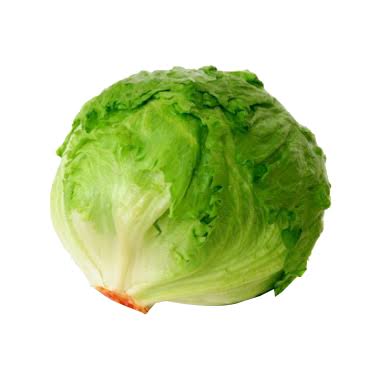LECHUGA PEQUEÑAS PZ