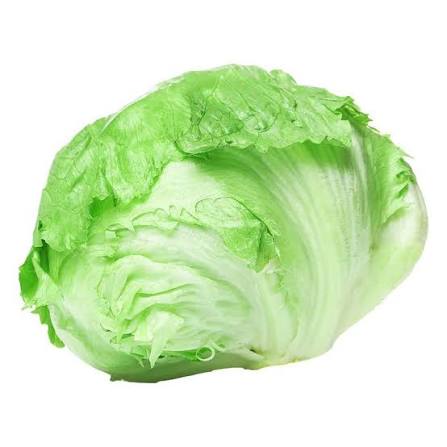 LECHUGA ROMANA PZA
