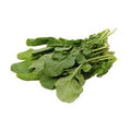 LECHUGA ARUGULA KG
