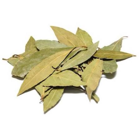 LAUREL KG