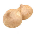 JICAMA PIÑATERA