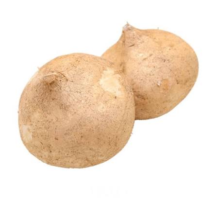 JICAMA PIÑATERA