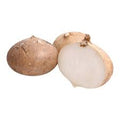 JICAMA LOCAL KG