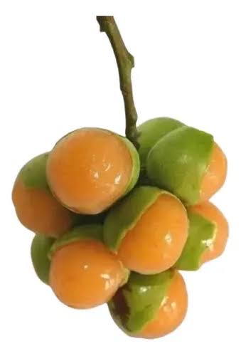 HUAYA