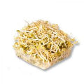 GERMINADO DE SOYA CONT. 300G