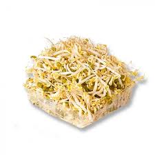 GERMINADO DE SOYA CONT. 300G