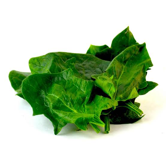 ESPINACA KG