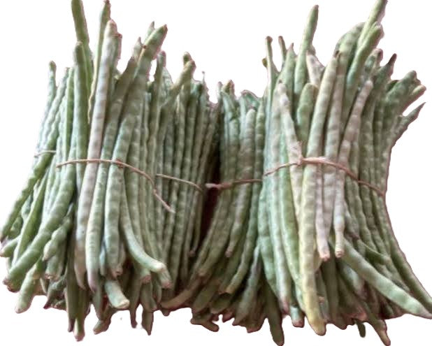 ESPELON ROLLO
