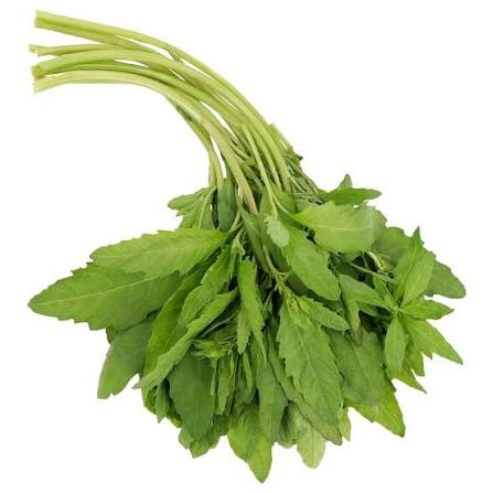 EPAZOTE ROLLO