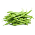 EJOTES
