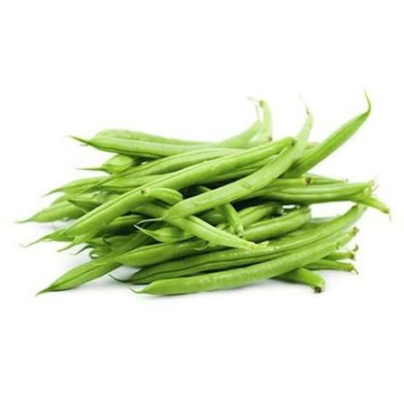 EJOTES