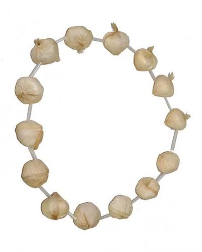 COLLAR DE AJO