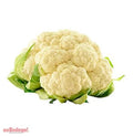 COLIFLOR PZ