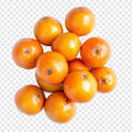 COCOYOL
