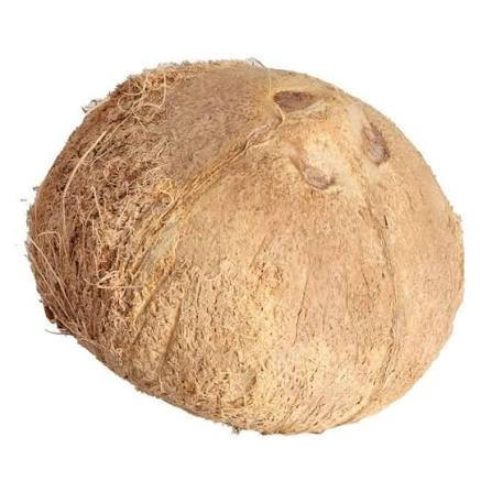 COCO MEDIANO PZ