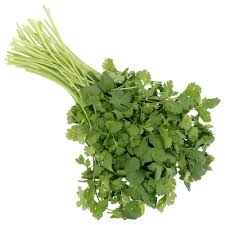 CILANTRO ROLLO