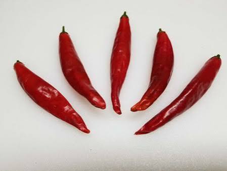 CHILE PICA PALOMA
