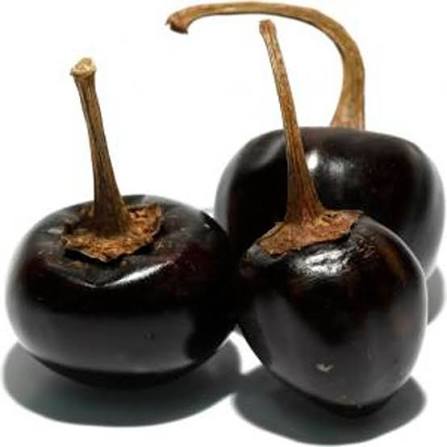 CHILE CASCABEL