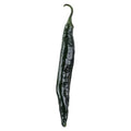 CHILACA KG