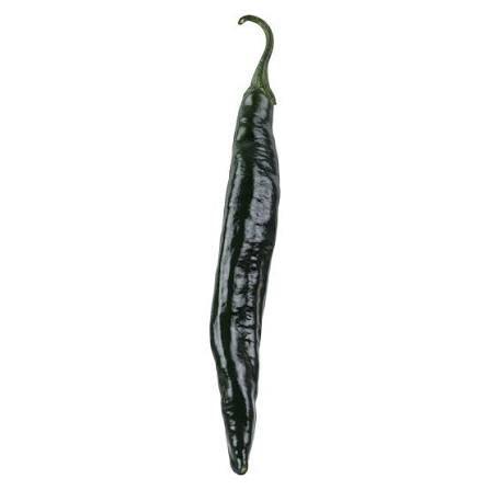 CHILACA KG