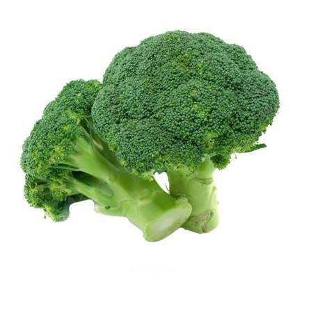 BROCOLI KG