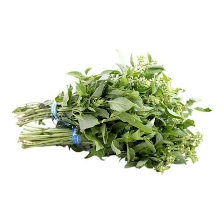 ALBAHACA KG