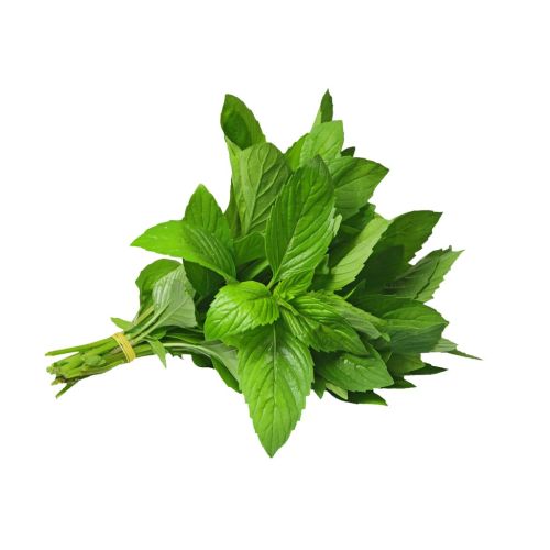 MENTA ROLLO 40 GR