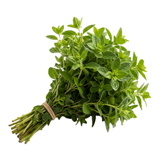 OREGANO 100% FRESCO CONT. 30GR