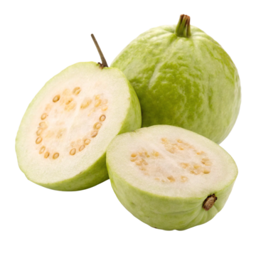 GUAYABA VERDE por KG