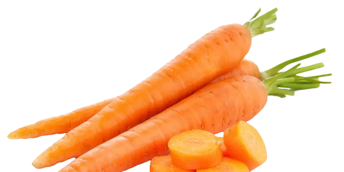 ZANAHORIA KG